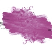 Logo/Portrait: Fotograf D. Buschermöhle Fotografie Logo/Portrait: Fotograf D. Buschermöhle Fotografie